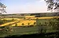 Das Rapskreuz von Stromberg wurde 2005 angelegt.