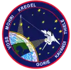 Logo von STS-99