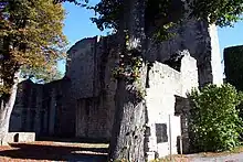 Burghof mit Resten des Palas, angelehnt an die Schildmauer