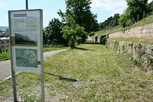 Alte Trasse der Industriebahn entlang der Weinberge, Mai 2010