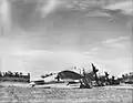 Mitsubishi A6M nach der Kapitulation Japans auf dem Flugfeld Jacquinot Bay