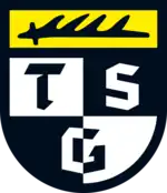 Vereinswappen der TSG Balingen