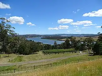 Tamar River und Tal Tamar Valley