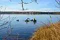 Tauchen im Murner See