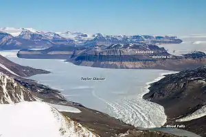 Luftbildaufnahme der Beacon Supergroup im Taylor Valley des Viktorialands mit Diabas-  bzw. Dolerit-Lagergängen
