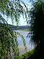 Flussufer bei Constância