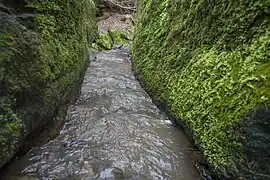 Bachrinne vor dem Wasserfall