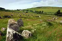 The Braaid