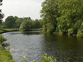 Der Teith bei Blair Drummond