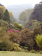 Ansicht von Trebah