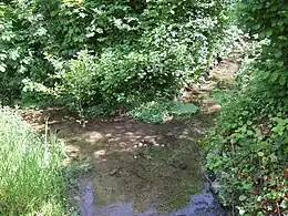 Furtbach (links im Bild) und Flussgraben (rechts im Bild) vereinigen sich zur Trebgast (vorne)