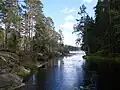 Blick von der Brücke auf den Stora Tresticklan am Übergang zum Lilla Tresticklan