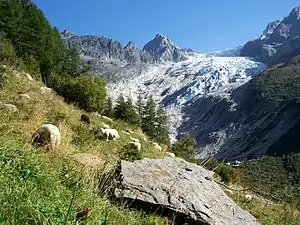 Trientgletscher, im Hintergrund die Petite Pointe d'Orny (3187 m)