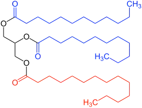 Triglycerid