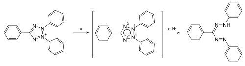 Reduktion des Triphenyltetrazoliumchlorid über ein Tetrazolium-Radikal zum Formazan