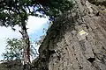 Aufstieg zum Dreiberg