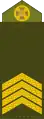 Старший сержант (Senior Sergeant)