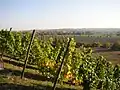 Blick vom Radierhäuschen nach Naumburg