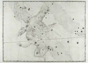16. Adler