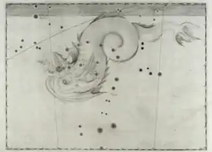 Aus der Uranometria von Johann Bayer, dort Piscis Notius genannt.