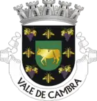 Wappen von Vale de Cambra
