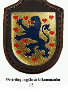 Internes Verbandsabzeichen