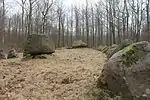 Langdysse 2