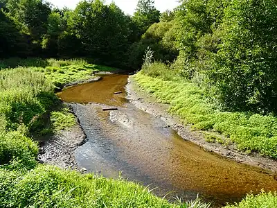 Die Valouse oberhalb der Brücke nach La Roche Noire