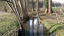 Oberlauf des Vechtaer Moorbachs bei Astrup