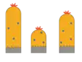 Vegetationsebene – Mitte
