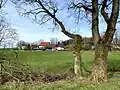 Ansicht von Vorst
