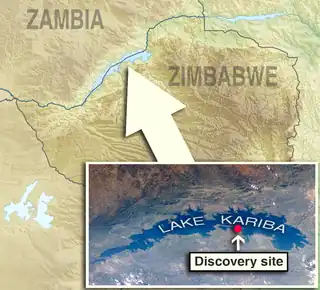 Discovery&nbsp;site (Simbabwe)