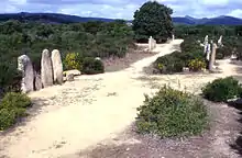 Andere Sicht auf die Steinreihen von Palaggiu