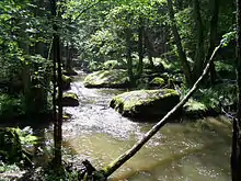 Waldnaabtal
