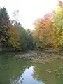 Waldsee im Klein-Breitenbacher Tal