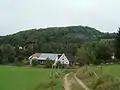Waldskopf vom Tal