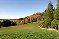 Walmersberg von Südosten (2020)