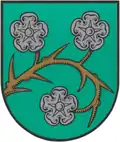 Dornsode (Details)