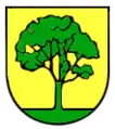 Pinache