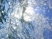 Unterwasser-Fotografie einer Wasseroberfläche aus etwa 20 cm Tiefe, in Richtung einer Lichtquelle. Die Wasseroberfläche ist gewellt, die Wellen brechen die Lichtstrahlen, sodass nicht erkennbar ist, woher das Licht genau kommt. Luftblasen steigen zur Oberfläche hin auf.