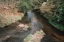 Fluss Enborne