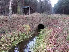 Wehr 1