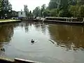 Kanal (2004)