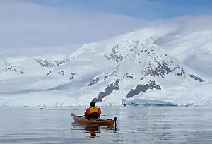 Walbeobachtung vom Kayak in der Wilhelmina Bay