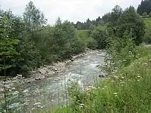 Sommervegetation beiderseits der Ache