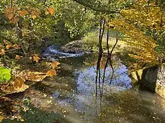 Wupper bei Neuensturmberg