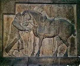 Relief eines Kriegspferds am Zhaoling-Mausoleum(frühes 7. Jahrhundert)