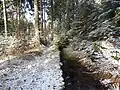 Wanderweg neben dem Zeuggraben
