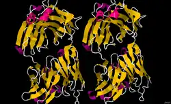Obinutuzumab