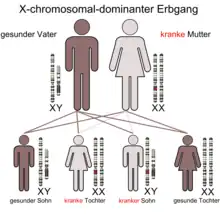 X-chromosomal-dominanter Erbgang (bei kranker Mutter)